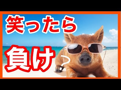 面白い話 笑える話 15秒で大爆笑 短編集 第32回 【朗読 アニメ】