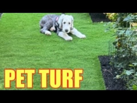 Artificial Pet Turf Install
