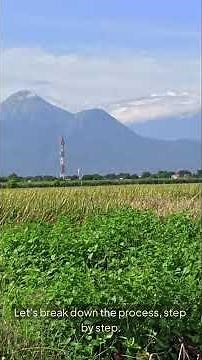 Unlocking the Future: How Biotech Harvests Are Changing Agriculture