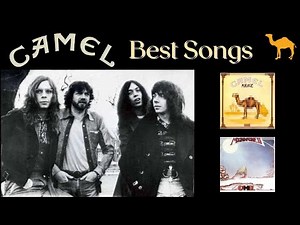 Top 15 Best Camel Songs