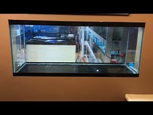 How to paint your fish tank and what you need