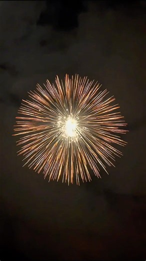 Del vicario 8” inch 200mm oro mfb display shell 🔥#fireworks #pyro