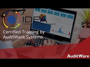 IDEA Data Analysis Software training by AuditWare Systems
