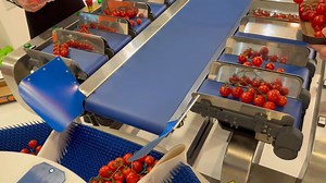 6+6 Semi-Automatic Scale with Rotopack