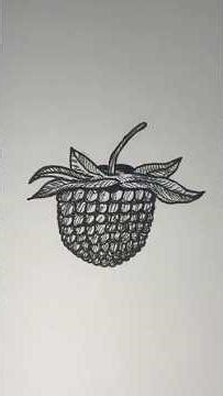 Quick Pen Drawing – Raspberry #10