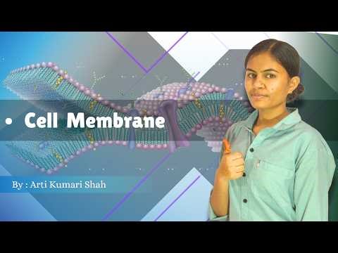 Cell membrane Full explained in details (reference : K Sembulingam) #bpt #biology