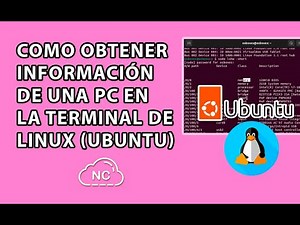 COMO OBTENER INFORMACIÓN DE UNA PC EN LA TERMINAL DE LINUX (UBUNTU)