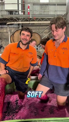 Why Winemakers Still Use Their FEET! 🍇🍷