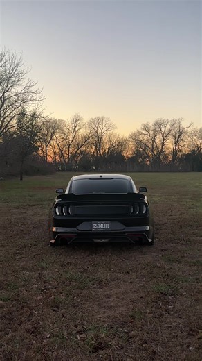 Exploring All Blacked Out Mustang Cars