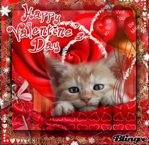 Instagram video by @blodeug • Feb 14, 2026 at 12:25 PM