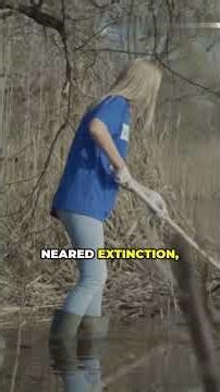 5 MOST Bizarre Foods That Are Illegal in Most Countries 🍽️ #shorts