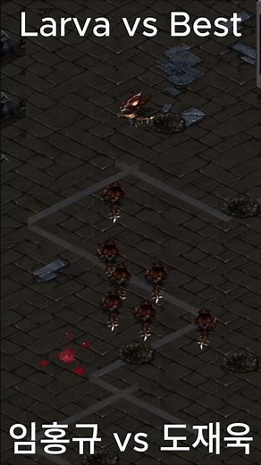 스타크래프트 리마스터 StarCraft Remastered 임홍규 vs 도재욱 ZvP 전설의 대결 🔥⚡
