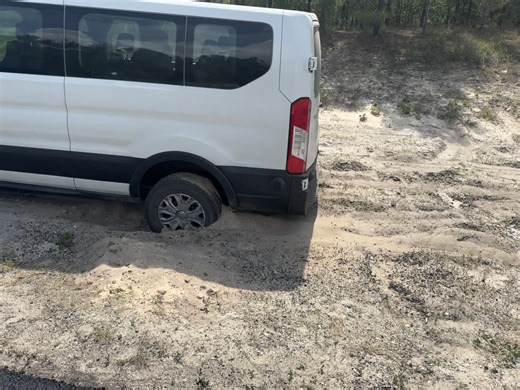 The Best Dog Products . Com on TikTok