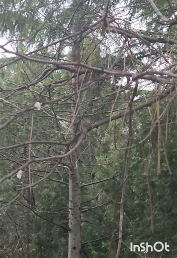 It's spring time🥰