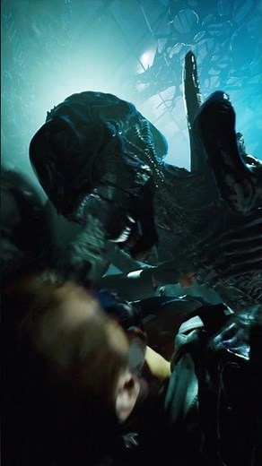Aliens vs Terminator head boinks!