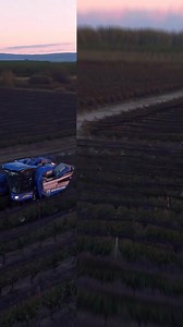 2.1K views · 12 reactions | ¡Así se termina una jornada de cosecha con una Braud New Holland! ✨ Esta vendimiadora fue diseñada para darte el confort y la seguridad que necesitás. ✅ Cabina moderna y cómoda ✅ Motor electrónico Common Rail de FPT Industrial: más rendimiento, menos consumo Con la línea Braud 9000L vas a trabajar con eficiencia en cualquier tipo de viñedo. : Agromaq Virdo #NewHolland #EnTodoMomento | New Holland Agriculture | Facebook