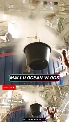 WATER MIST TEST IN ACTION 💦🔥 | REAL SHIP FIRE SAFETY SYSTEM | #shortsfeed #shorts #viralshorts