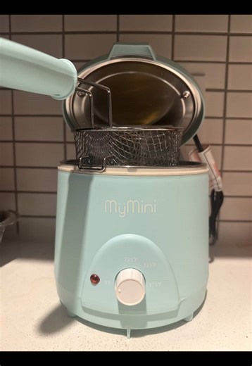 Delicious Mini Deep Fryer Dinner in Small Spaces