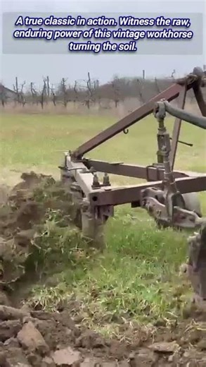 Agricultural Heritage: Watch This Old Tractor Get Work Done