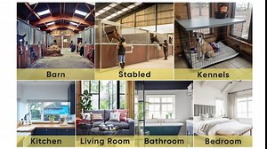 40 Pack Sticky Cockroach Traps on The Wall, Window Fly Traps for House, Clear Bug Killer Indoors, Fly Catcher Sticky Trap for Gnats, Ladybugs, Houseflies Glue Traps Keep Flying Insects Away