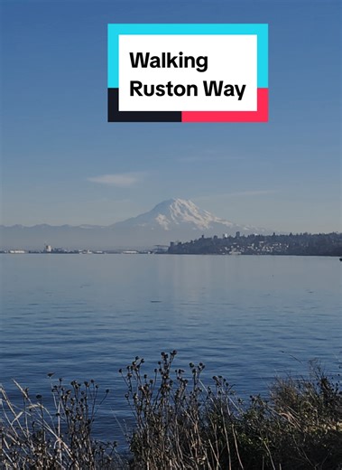 Cold sunny walks on Ruston Way, a quick water pause for Mount Rainier, then tacos from Taco Street because priorities.