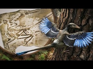 The Lost World of Feathered Dragons & First Mammals: A New Prehistory