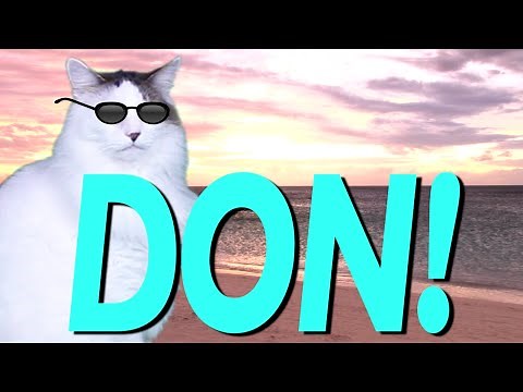 HAPPY BIRTHDAY DON! - EPIC CAT Happy Birthday Song