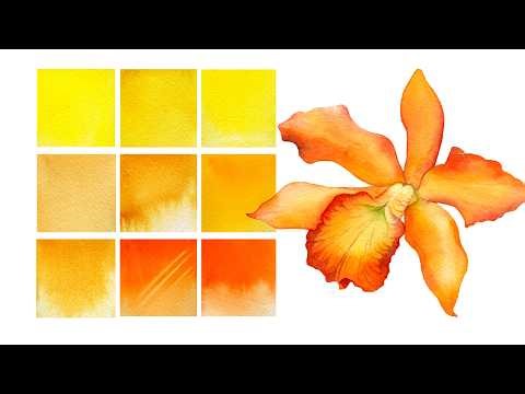 Essential Watercolor Yellows & Oranges 🧡 + Favourite Mixes