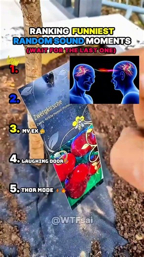 RANKING FUNNIEST RANDOM SOUND MOMENTS 🤣 #funny #shorts