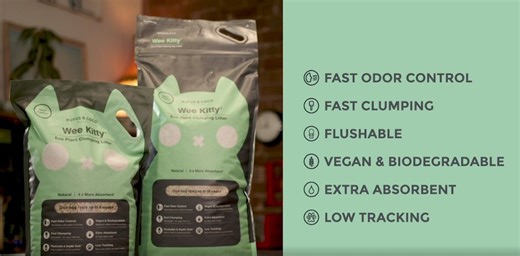 Watch How to use Wee Kitty Eco Plant Litter?  #ReduceYourPawprint on Amazon Live