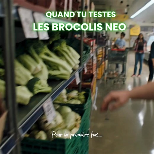 T’en as pas marre d’acheter du foin ? Des sachets qui sentent le gazon et te font l’effet d’une tisane ? 🍵 Passe à autre chose. Une bouchée de brocoli boosté au CSA, et tu comprends la différence. 🚚 Livraison offerte dès 29€ 📦 Emballage discret et anonyme 🕶️ Validé par la street, approuvé par les connaisseurs 👉 Croque le brocoli. Quitte la Matrice. | Neowid