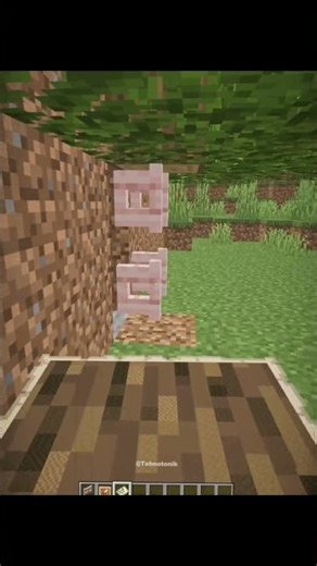 💀MINECRAFT FAKE TREE | MINECRAFT TRICK | LIFEHACK | CHEAT MINECRAFT