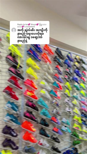 Thuya Wood Planting Techniques