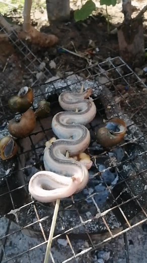 Mery Southammavong on TikTok