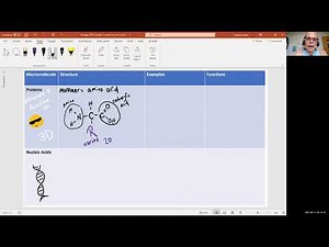Biology 2010 Chapter 2 Proteins (Video 14)