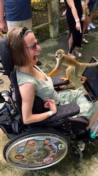 This Dog’s Reaction Is PURE COMEDY 😂🐶.. #bablubaz #funny #funnyanimals #funny #comedy #animals #fun