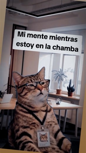 El ser humano nace bueno, la atención al cliente es quién lo corrompe😂🎥 | Los simpsons lo mejor por siempre
