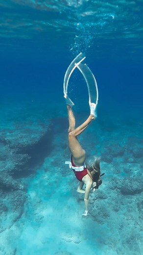 Don't burst my bubble!!!! #shorts #scuba #scubadiving #scubalife #scubadiver #scubadivinglife #scubapro #scubagirl | Ocean’s Snorkeling