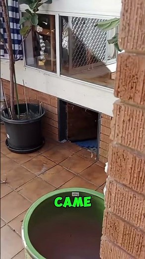 Something Kept Appearing 💀 #shorts