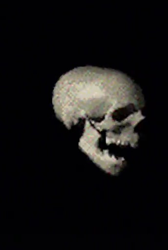 Spinning Skull Meme Gif Videos Compilation