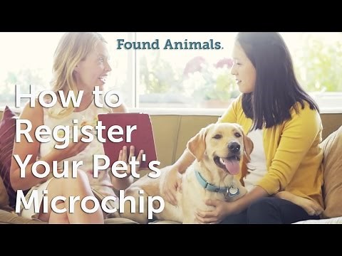 How to Register Your Pet's Microchip