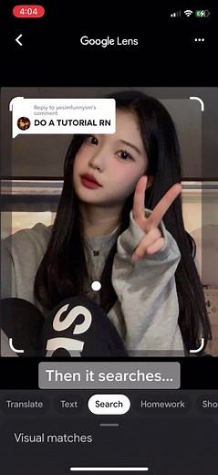 Reply to @yesimfunnysm tutorial on the picture finding thing to see if somone is faking their face 💞💞#fy #fyp #foryou #viral #exposed #foryourpage #facereveal #kpop