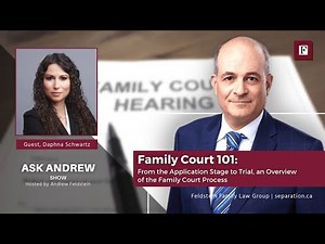 Family Court 101: An Overview of the Family Court Process | #AskAndrew