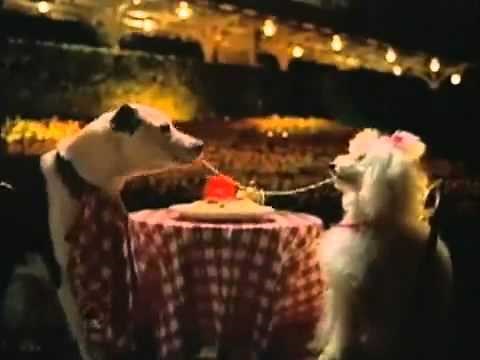 Disneyland commercial 2004