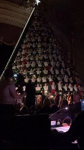 Want more? See the live show tonight at 7p. Muskegonchannel.com/live Singing Christmas Tree - Mona Shores Choir | Andy O'Riley