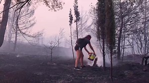 12K views · 193 reactions | Greece's worst wildfire, fanned by gale force winds, spread into the Athens suburbs as the government sought help from other EU members to tackle the fire https://reut.rs/4dAYNZ8 | Reuters | Facebook