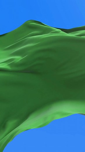 Libya Flag - Interesting Flag Facts #flag #interesting #flags #facts #trivia