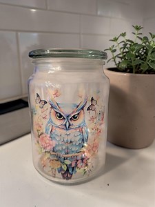 Owl Glass Canister With Lid - Etsy Canada