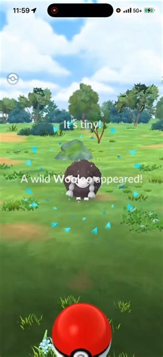 ✨OMG!!! TINY SHINY WOOLOO CAUGHT IN POKEMON GO!!!✨ #shorts #pokemon