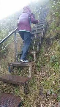 1 Day Fansipan Hike with Sapa Nomad